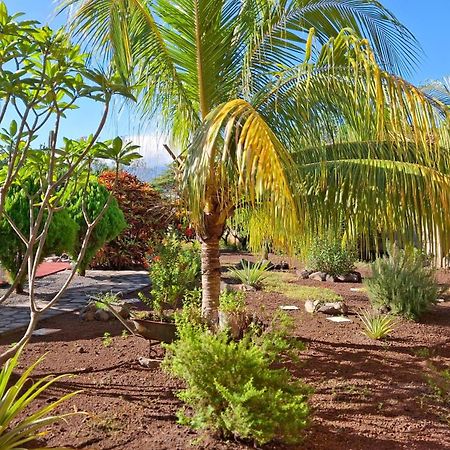 Hotel Jardin Garden De Granada Nicaragua Экстерьер фото