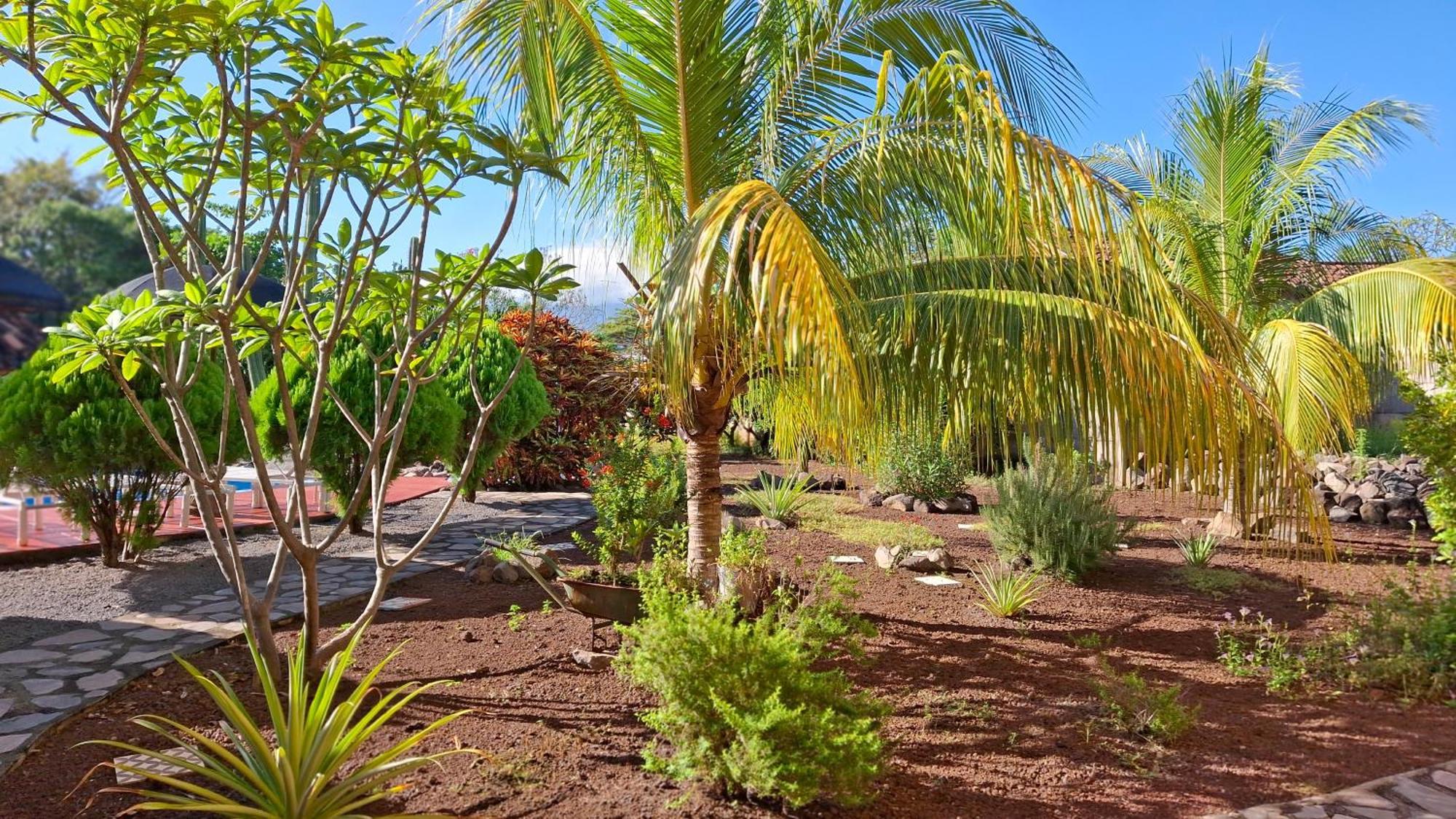 Hotel Jardin Garden De Granada Nicaragua Экстерьер фото
