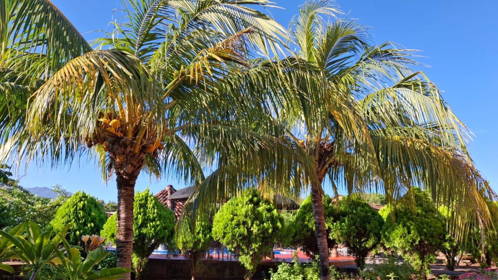 Hotel Jardin Garden De Granada Nicaragua Экстерьер фото