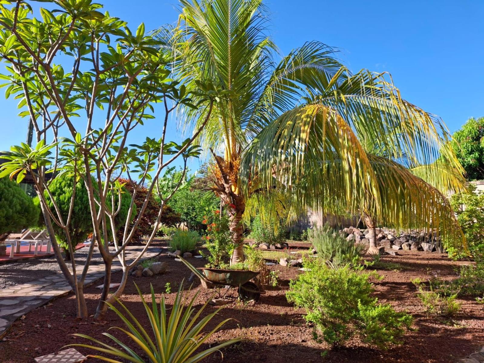 Hotel Jardin Garden De Granada Nicaragua Экстерьер фото