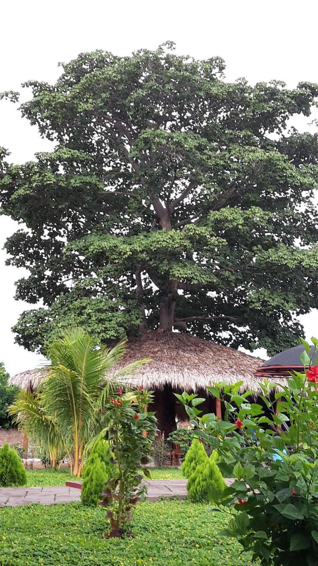 Hotel Jardin Garden De Granada Nicaragua Экстерьер фото